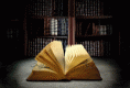 /album/fotogaleria/libroflor-gif/